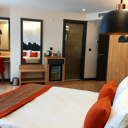 Koza 4*
